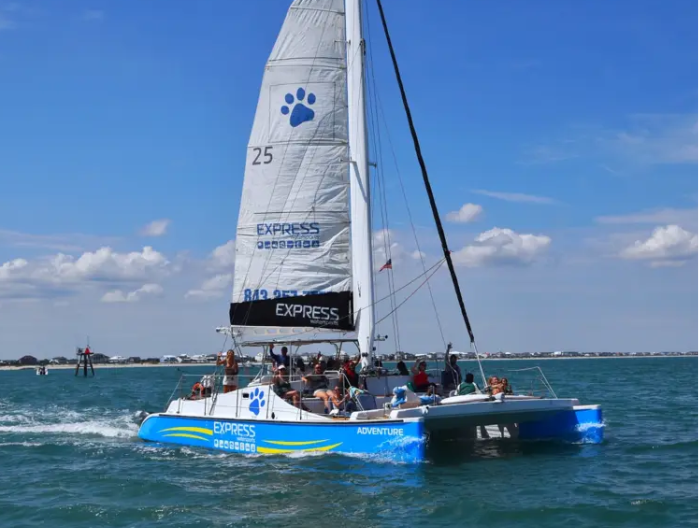 Dolphin Watch Sailing Catamaran Adventure